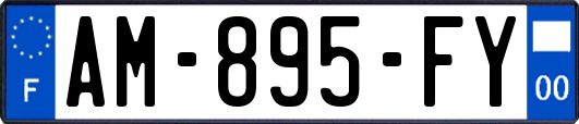 AM-895-FY