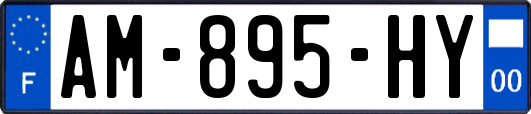 AM-895-HY