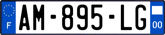 AM-895-LG