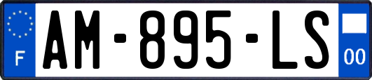 AM-895-LS