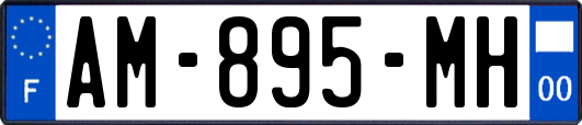 AM-895-MH