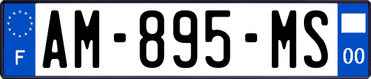 AM-895-MS