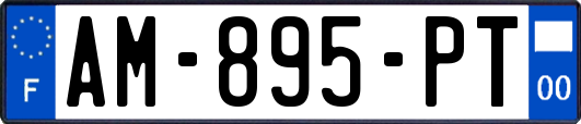 AM-895-PT