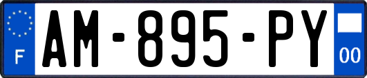 AM-895-PY