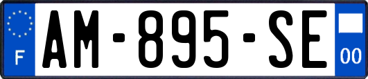 AM-895-SE