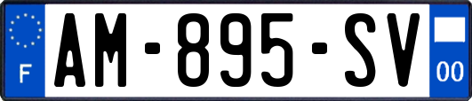 AM-895-SV