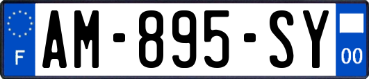 AM-895-SY