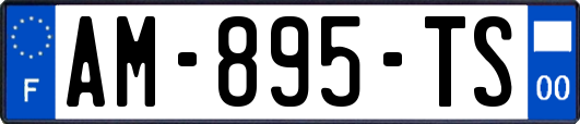 AM-895-TS