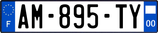 AM-895-TY