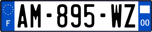 AM-895-WZ