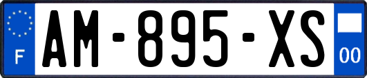 AM-895-XS
