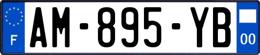AM-895-YB