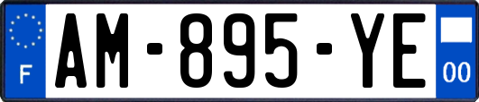 AM-895-YE