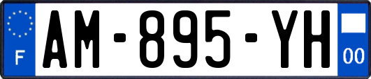 AM-895-YH