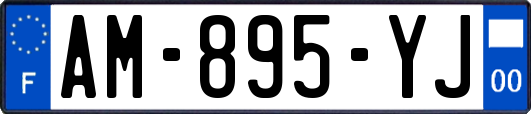 AM-895-YJ