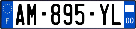 AM-895-YL