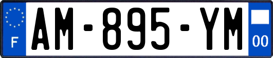 AM-895-YM