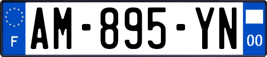 AM-895-YN