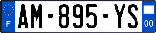 AM-895-YS