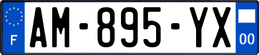 AM-895-YX