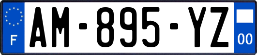 AM-895-YZ