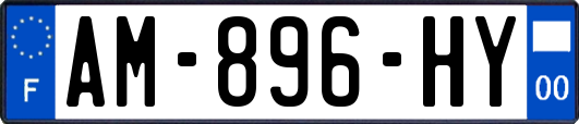 AM-896-HY