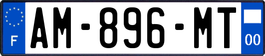 AM-896-MT