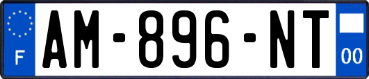 AM-896-NT