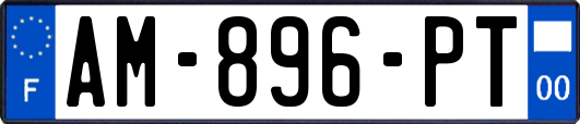 AM-896-PT