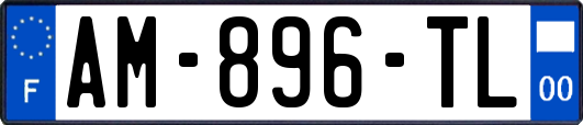 AM-896-TL