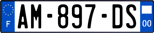 AM-897-DS