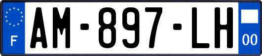 AM-897-LH