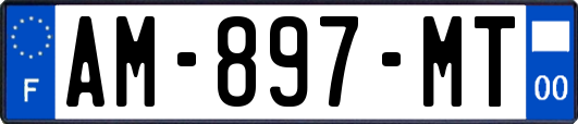 AM-897-MT