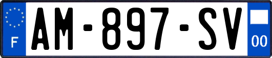 AM-897-SV