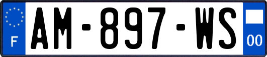AM-897-WS
