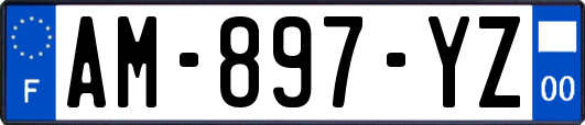 AM-897-YZ