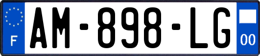 AM-898-LG