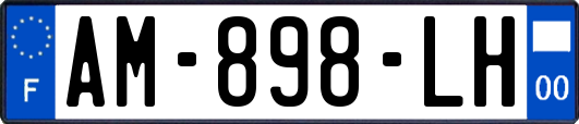 AM-898-LH
