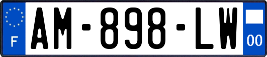 AM-898-LW