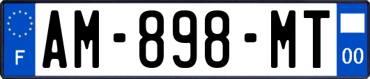 AM-898-MT