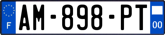 AM-898-PT