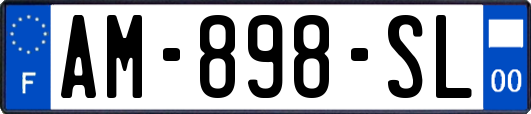 AM-898-SL