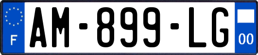 AM-899-LG