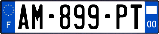 AM-899-PT