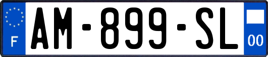 AM-899-SL