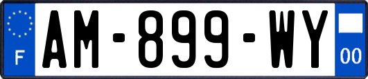 AM-899-WY