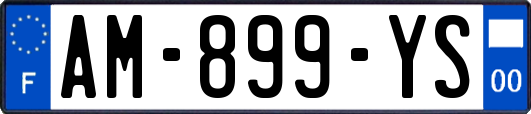 AM-899-YS