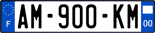 AM-900-KM
