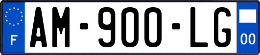 AM-900-LG