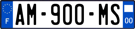 AM-900-MS